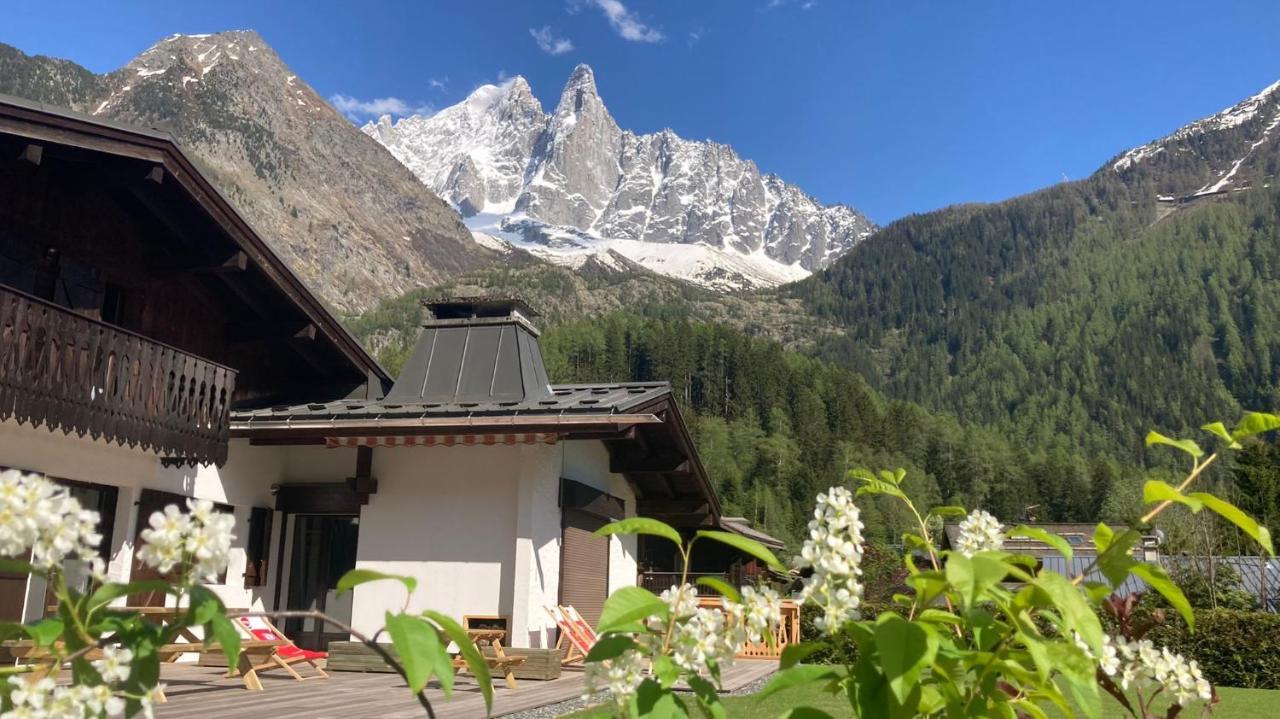 Chalet Pleine Vue & Spa Chamonix Exteriér fotografie